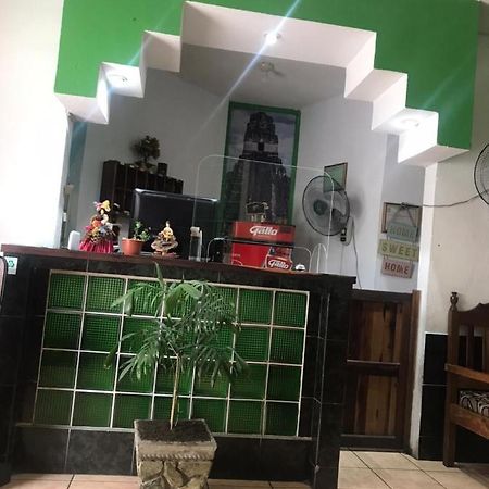 Green Monkey Hostel 弗洛勒斯 外观 照片