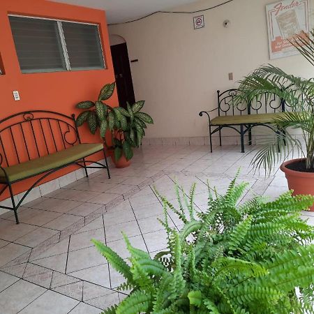 Green Monkey Hostel 弗洛勒斯 外观 照片