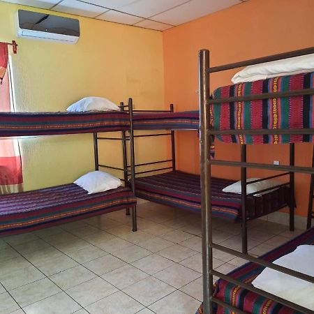 Green Monkey Hostel 弗洛勒斯 外观 照片