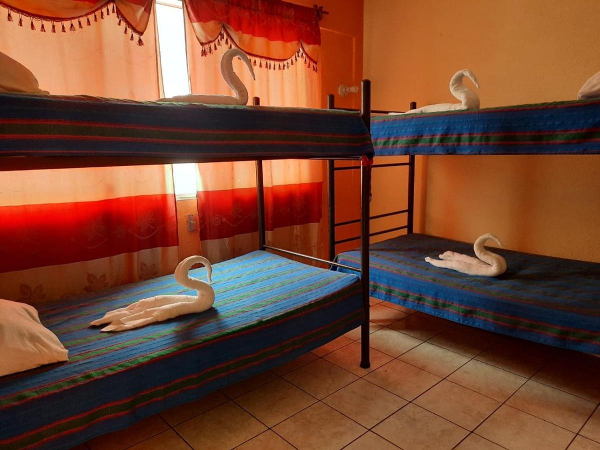 Green Monkey Hostel 弗洛勒斯 外观 照片