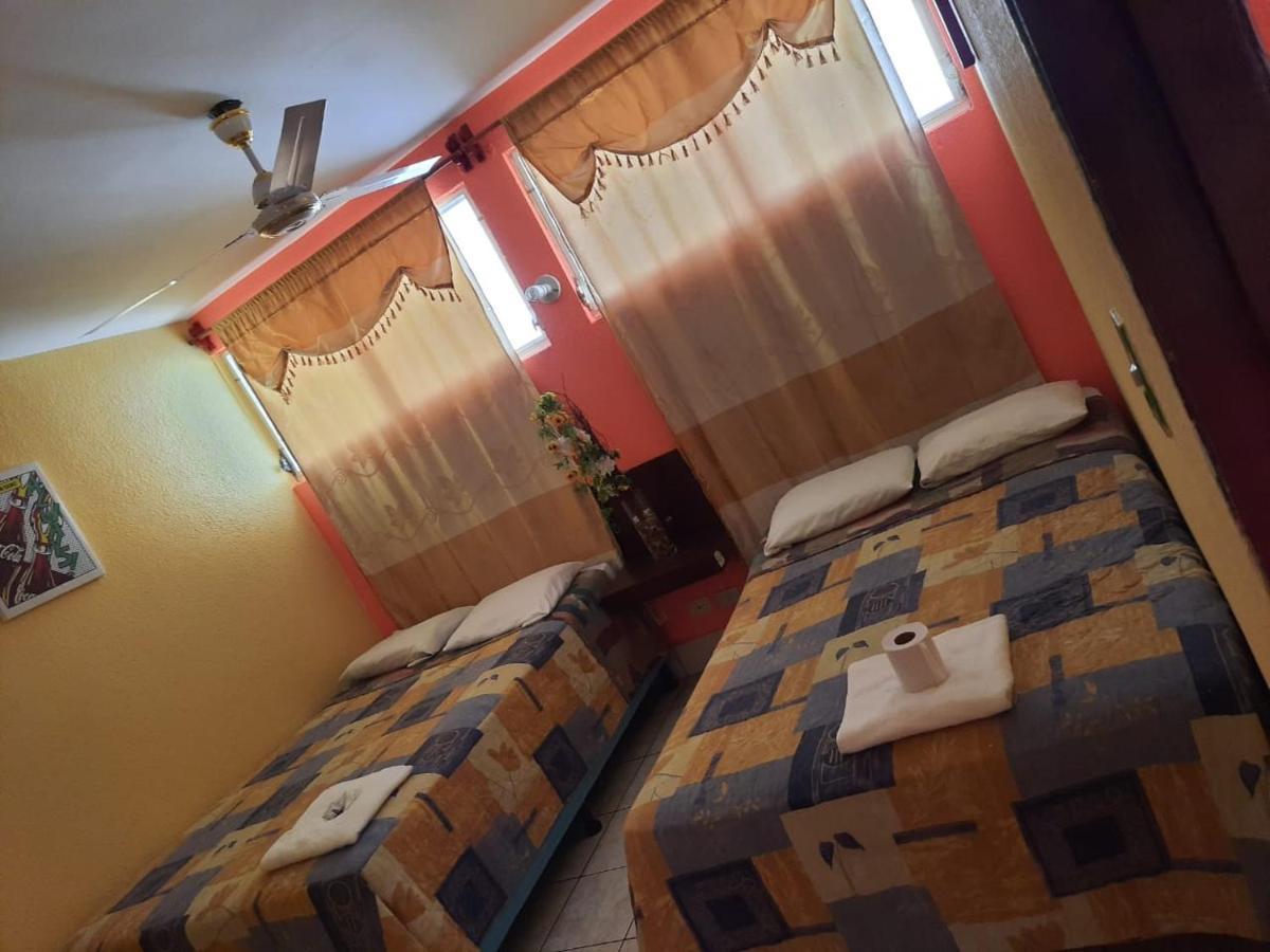Green Monkey Hostel 弗洛勒斯 外观 照片