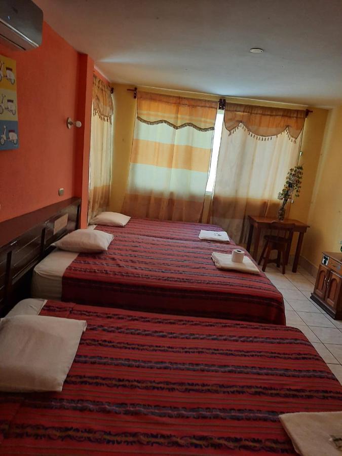 Green Monkey Hostel 弗洛勒斯 外观 照片