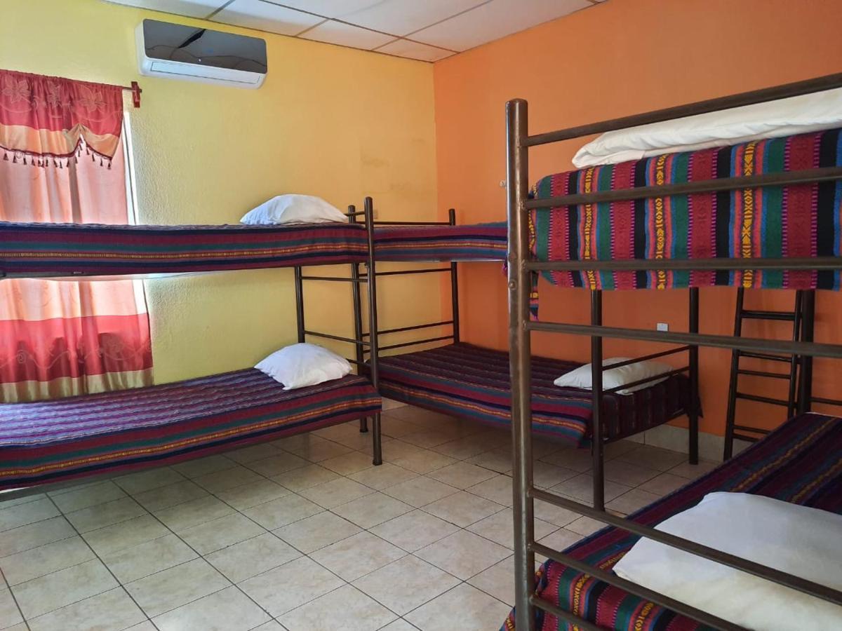 Green Monkey Hostel 弗洛勒斯 外观 照片